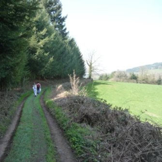 sentier Chatenay 1