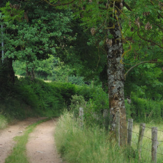 sentier Chatenay 2
